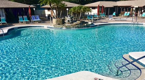 Cypress cove florida - Location. 4425 Pleasant Hill Rd, Kissimmee, FL 34746-2705. 1 (855) 574-4210. E-mail hotel. Cypress Cove Nudist Resort. 760 reviews.